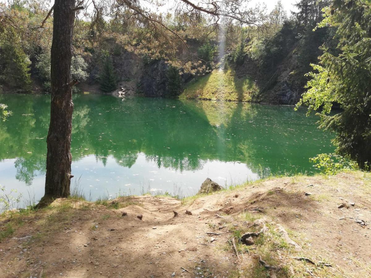 Ferienwohnung Bergwiese Schwarzenbach am Wald Eksteriør billede